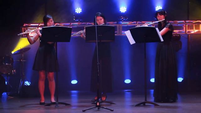Francois Devienne Trio No. 5 смотреть онлайн