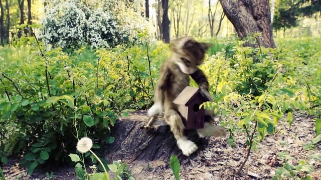 Хитрый кот - готвим "скворечник" смотреть онлайн