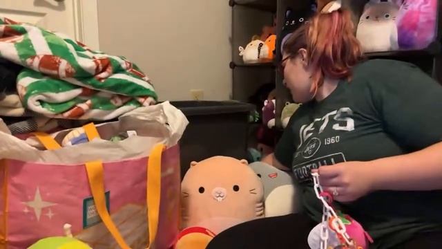 ?Sorting our Squishmallow Collection and Q&A ? смотреть онлайн