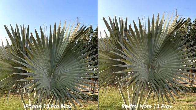 Redmi Note 13 Pro Plus vs iPhone 15 Pro Max Camera Test смотреть онлайн