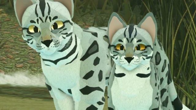 ЧТО ТАКОЕ РП? КТО ТАКИЕ СЬЮ?🤔🤨 смотреть онлайн