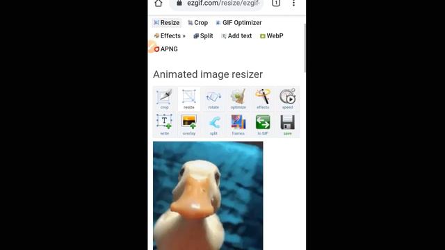How To Make Animated Stickers For Whatsapp Malayalam смотреть онлайн
