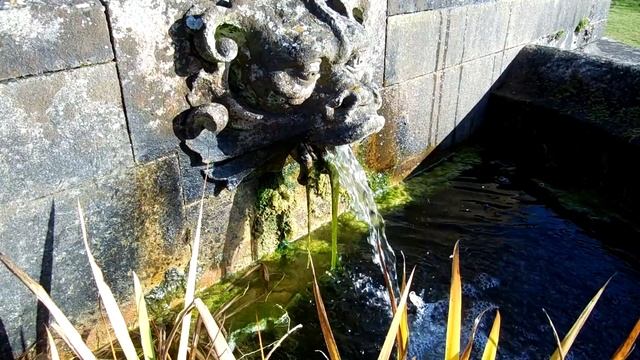 Nikon Coolpix L610 Test Video смотреть онлайн