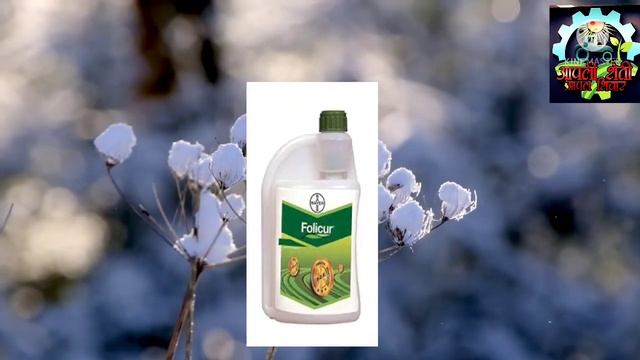 Folicur Fungicide | Folicur Bayer Fungicide | Tebuconazole |@AapliShetiAaplshivarD