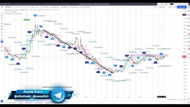 TON по 10$ КОГДА? Ton Coin — СКАМ ИЛИ НОВАЯ МОНЕТА КОТОРАЯ ДАСТ ИКСЫ?