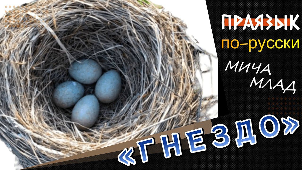 Что означает слово «ГНЕЗДО»? Этимология слова - праязык