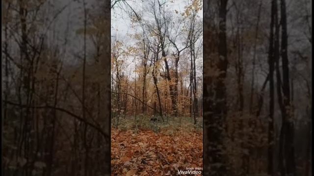 Разминка на свежем воздухе. смотреть онлайн