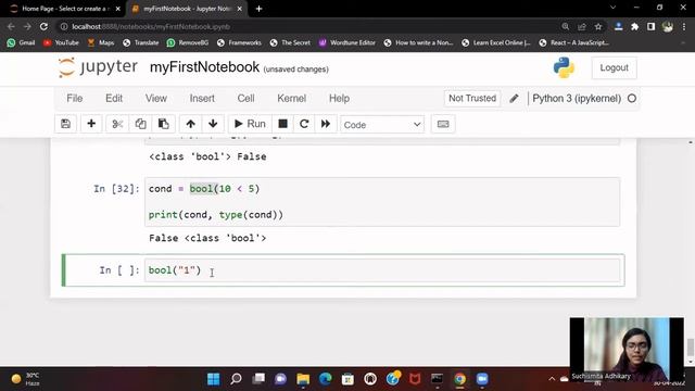Introduction to float, boolean and NoneType in Python. смотреть онлайн