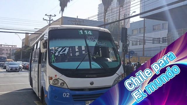 Caio FOZ Volkswagen 9-160OD | Trans Antofagasta 114 смотреть онлайн