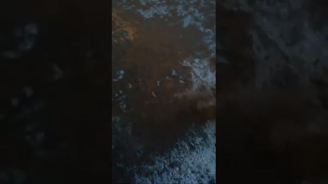 Прямые и перевернутые карты в колоде из 36 карт смотреть онлайн