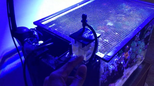 Cobalt Aquatics C-Vue 40 Fluval Evo 13.5 March 2,2019 Update смотреть онлайн