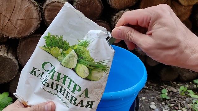 Хотел сделать навес, но МЕТАЛЛ ПОДОРОЖАЛ! Решено – навес БУДУ ВЫРАЩИВАТЬ / Огород дяди Вовы смотреть онлайн