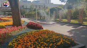 МОЕ ОБРАЩЕНИЕ К ЗРИТЕЛЯМ. Встреча с девушками, вышедшими замуж в Индию