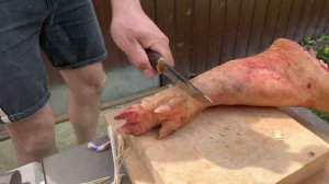 Тест ножа «Походный» 95Х18 кованый