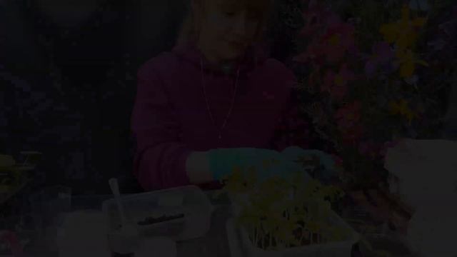 ВЫТЯНУЛАСЬ РАССАДА - ЧТО ДЕЛАТЬ? смотреть онлайн