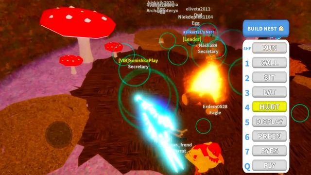 КУПИЛИ VIB Статус и сделали НЕОНКУ в игре Роблокс Feather Family! смотреть онлайн