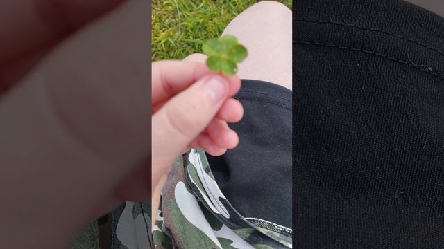 я нашла 5 листвой клевер! смотреть онлайн