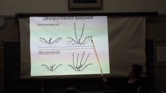 Веерная формировка для Подмосковья и северных регионов - фрагмент лекции в МОИПЕ, Москва, 2015 год смотреть онлайн