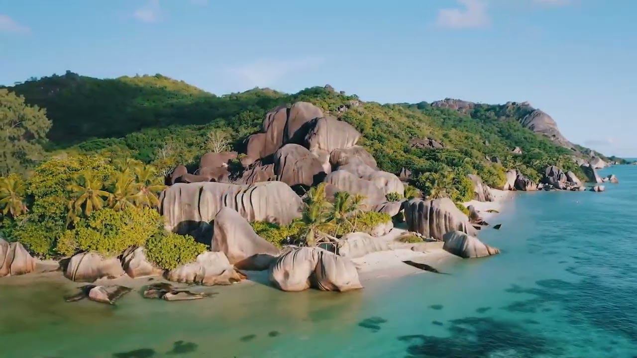 Peaceful Ambience For Stress Relief And Focus | World Of Musical Relaxation