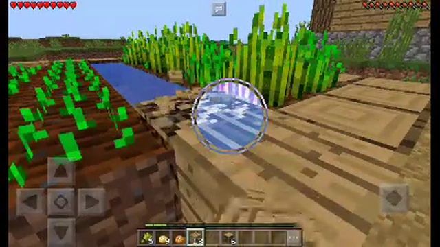 Суп спас мне жизнь