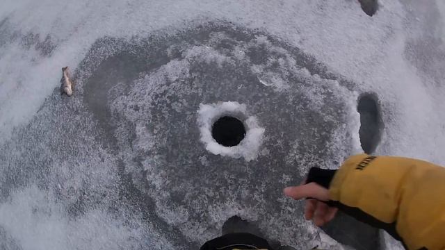 КРУПНЫЕ ОКУНИ НА БАЛАНСИР!!! смотреть онлайн