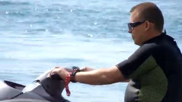 Гагры сентябрь 2011 смотреть онлайн