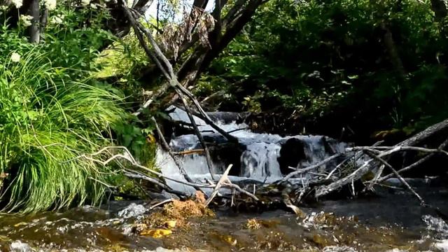 Архангельская область. р. Онега. Водопад. смотреть онлайн