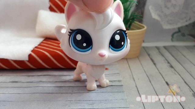 ~КОНКУРС~ смотреть онлайн