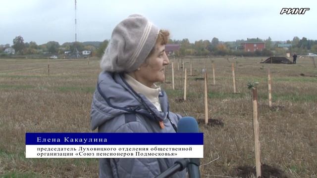 Луховицкий фермер Светлана Астапова реализуется проект по созданию яблоневого сада смотреть онлайн