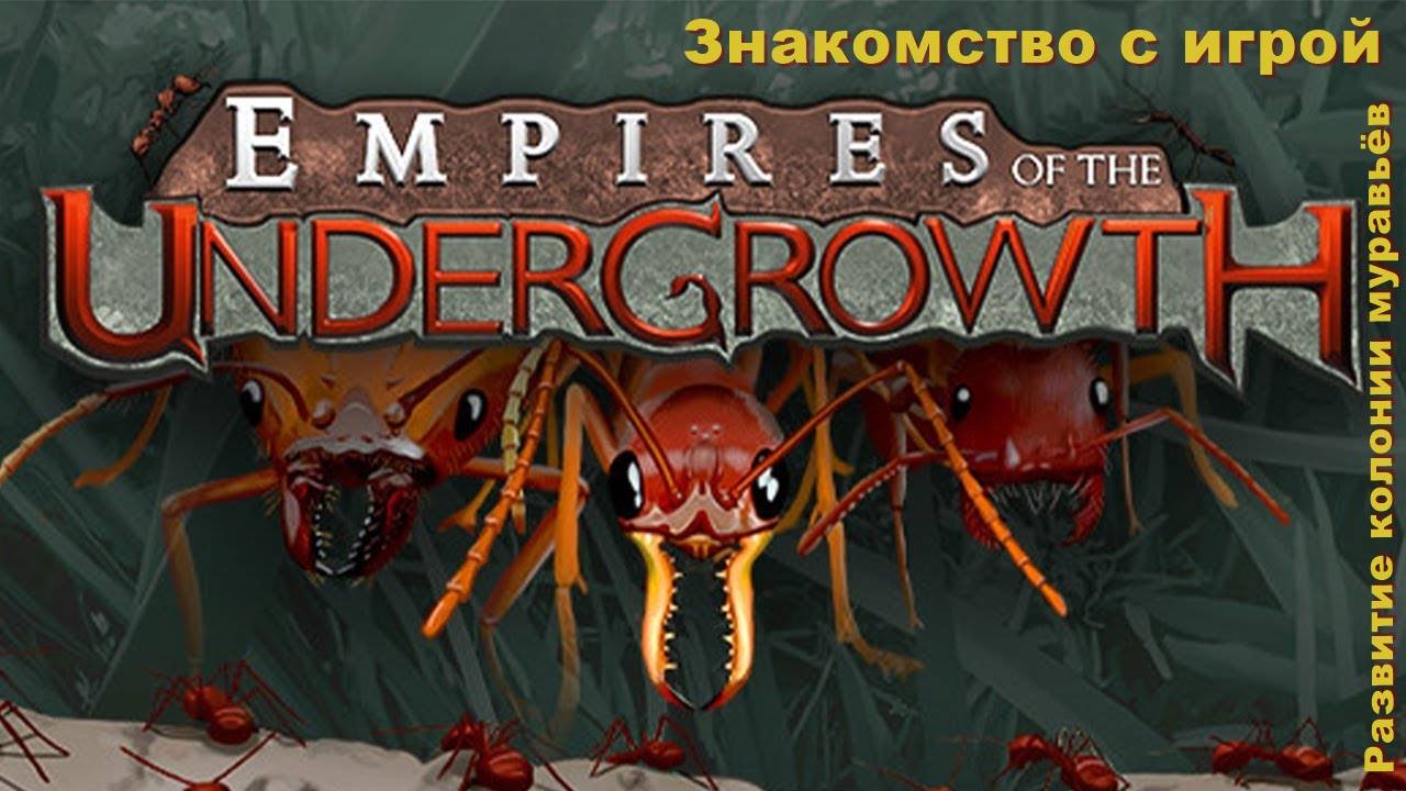 Empires of the UnderGrowth. Знакомство с игрой. #1 смотреть онлайн