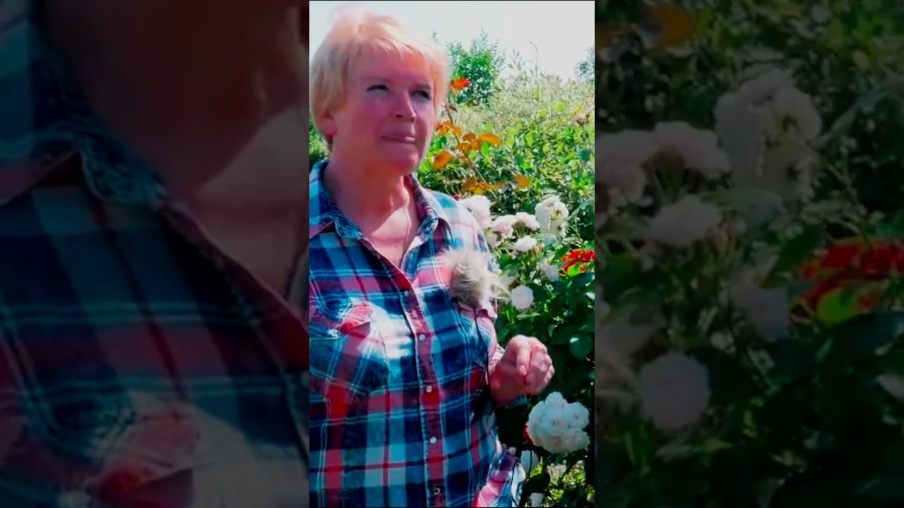 шрабы смотреть онлайн