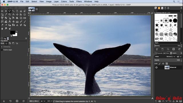 GIMP โปรแกรมแต่งภาพ.. ฟรี และ ดี #2.4 รู้จักเครื่องมือ Free select tool смотреть онлайн
