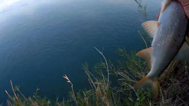 Рыбалка, сентябрь, река Чу смотреть онлайн