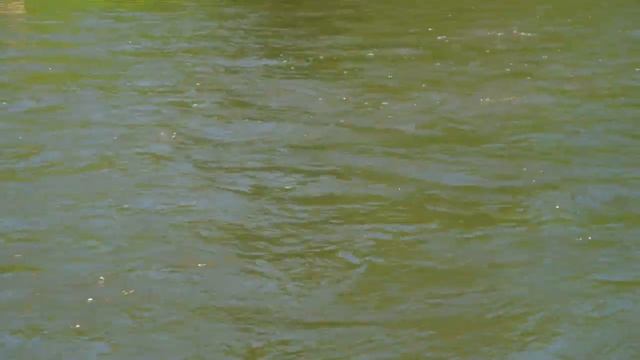 Скег из канистры типа Sanfor