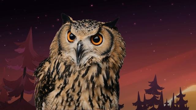 Episode 2 | Look Hooo's Talking | The Owl House | Disney Channel смотреть онлайн
