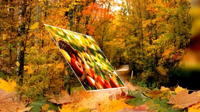 Осенняя фантазия. смотреть онлайн