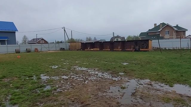 Щенкам мяса и молока с творогом смотреть онлайн