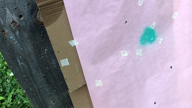 16 Gauge Old School Style Buckshot Loads Range Testing!!! смотреть онлайн