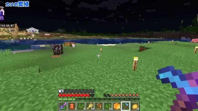 【これで完璧!】ウィザー戦はこれを準備すれば勝てる!!次回ウィザー戦!!　#49【女性実況】【マインクラフト　マイクラ　まいくら　Minecraft】 смотреть онлайн