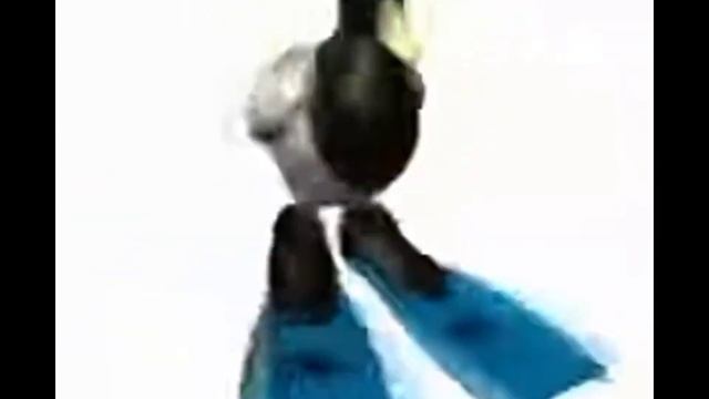 Утка читает битбокс смотреть онлайн