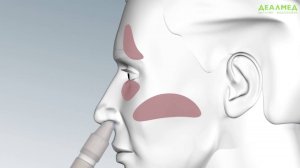 Как правильно использовать ПАРИ Синус