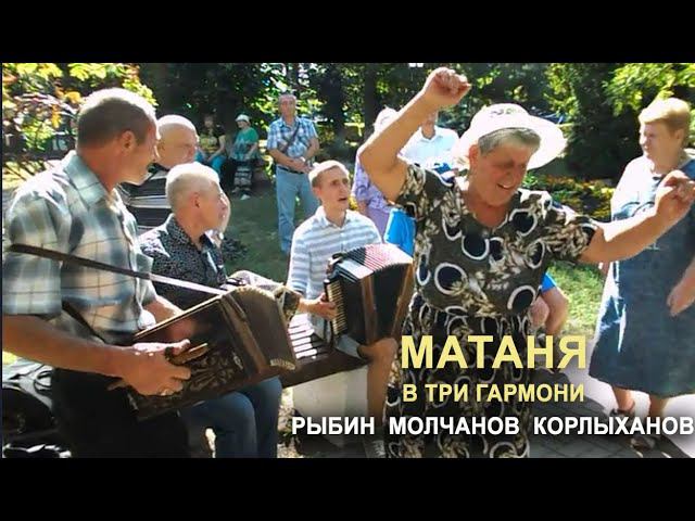 Матаня на троих... гармонистов! смотреть онлайн
