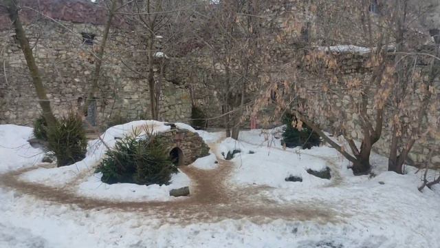 Московский зоопарк зимой смотреть онлайн