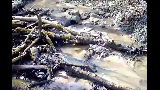 Весенние реки в Московской области 2017, весенний лесной ручей 2017, весеннее таяние снега 2017. смотреть онлайн
