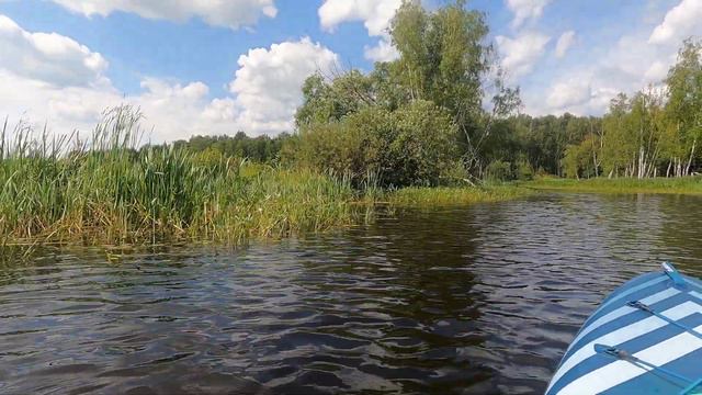 4 августа 2022 Сапики смотреть онлайн