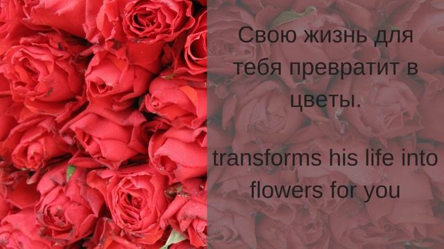 Learn Russian with Songs- Alla Pugacheva A Million Scarlet Roses - Алла Пугачёва Миллион Алых Роз смотреть онлайн