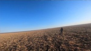 Супер налеты на гуся # Амурская область # fabarm XLR 5 # номер дроби 3