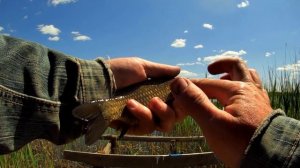 Рыбалка на кивок / ловля с берега на кивок / рыбалка на карася удочкой с боковым кивком и мормышкой