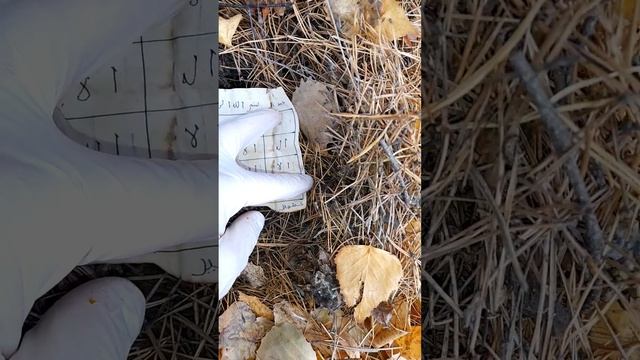 СИХР КОЛДОВСТВО ИСЛАМ!? АРАБСКАЯ МАГИЯ ПОРЧА.  РАЗБОР СИХРА ПОДКЛАДА