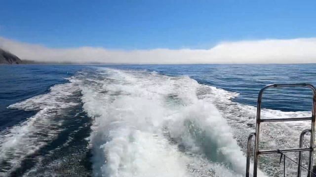 Шантары август 2022 смотреть онлайн